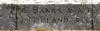 Les Featherstone 29 08 2013