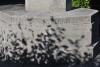 Les Featherstone 07 09 2013