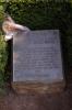 Plaque
