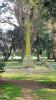 Scouts memorial