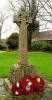 Asthon Hayes - WW1 and WW2