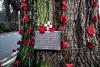 Verdun Oak- Plaque
