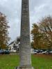 Front face of Aldenham Cross WW1 & WW2