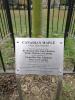 Plaque