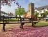 Dinas Powys