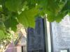 Grangetown- Names 1