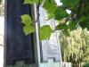 Grangetown- Names 3