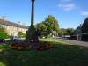 Memorial image thumbnail