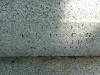 Graffham WW2 names