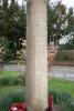 Bisham War Memorial