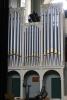 Organ