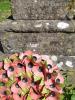 Apuldram Cross 7
