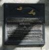 The plaque