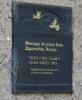 Peace Message - Zaporozhie