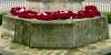 Dedication: The Men and Women of Bolsover & Hillstown