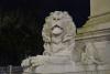 Lion 2