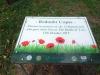 Plaque