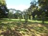 Redoubt Copse 2