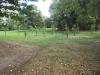 Redoubt Copse