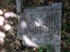 Horace James Taylor (1)