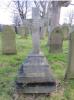The cross