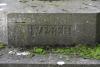 Face 4 base - Ypres