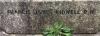 Memorial image thumbnail