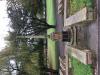 Memorial image thumbnail