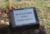 115 Squadron, Crew of Wellington Z8863 (KO-G) Memorial, tree plaque