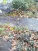 Memorial image thumbnail