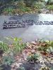 Memorial image thumbnail