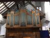 The organ