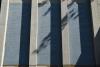 Lefthand name panel