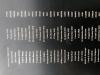 Close up detail of names 6 Brewer to Cameron