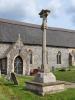 Cross in situ