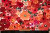 Merseyside Police WW1 poppy mosaic memorial (5)