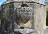 PRO RECTO shield