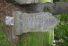 Ernest William Robinson 1