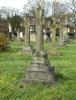 The cross