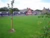 The School