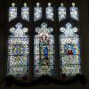The window