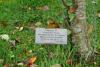 Attendant plaque