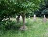 T G & J R Streeton headstone in context