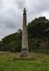 Wellington Monument and Waterloo wood