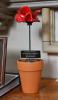William Shirley memorial poppy