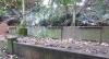 Memorial image thumbnail
