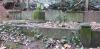 Memorial image thumbnail