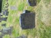 Memorial image thumbnail