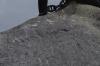 Memorial image thumbnail