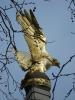 R.A.F. Memorial Eagle - Close Up